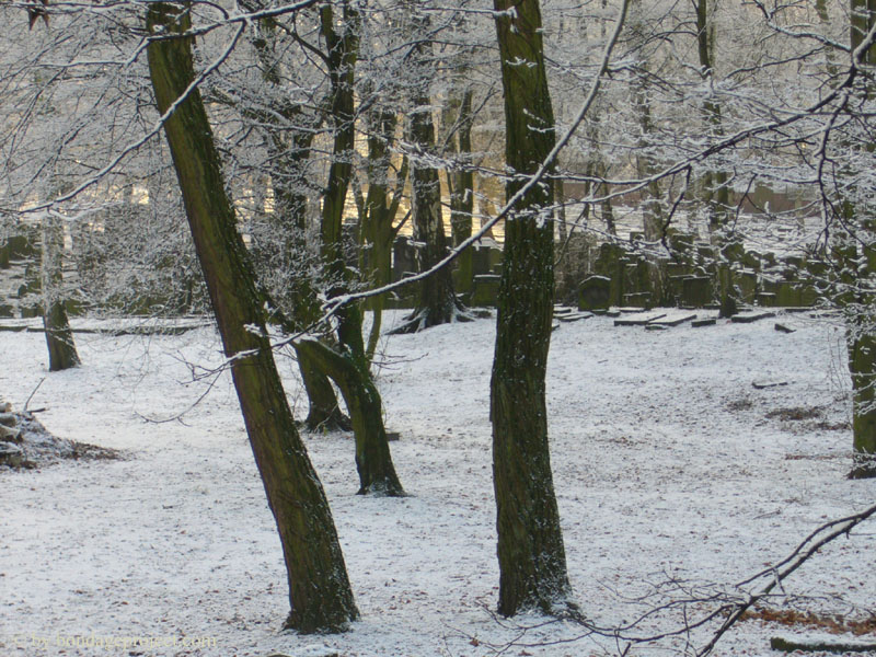 lumix0058.JPG 178.8K